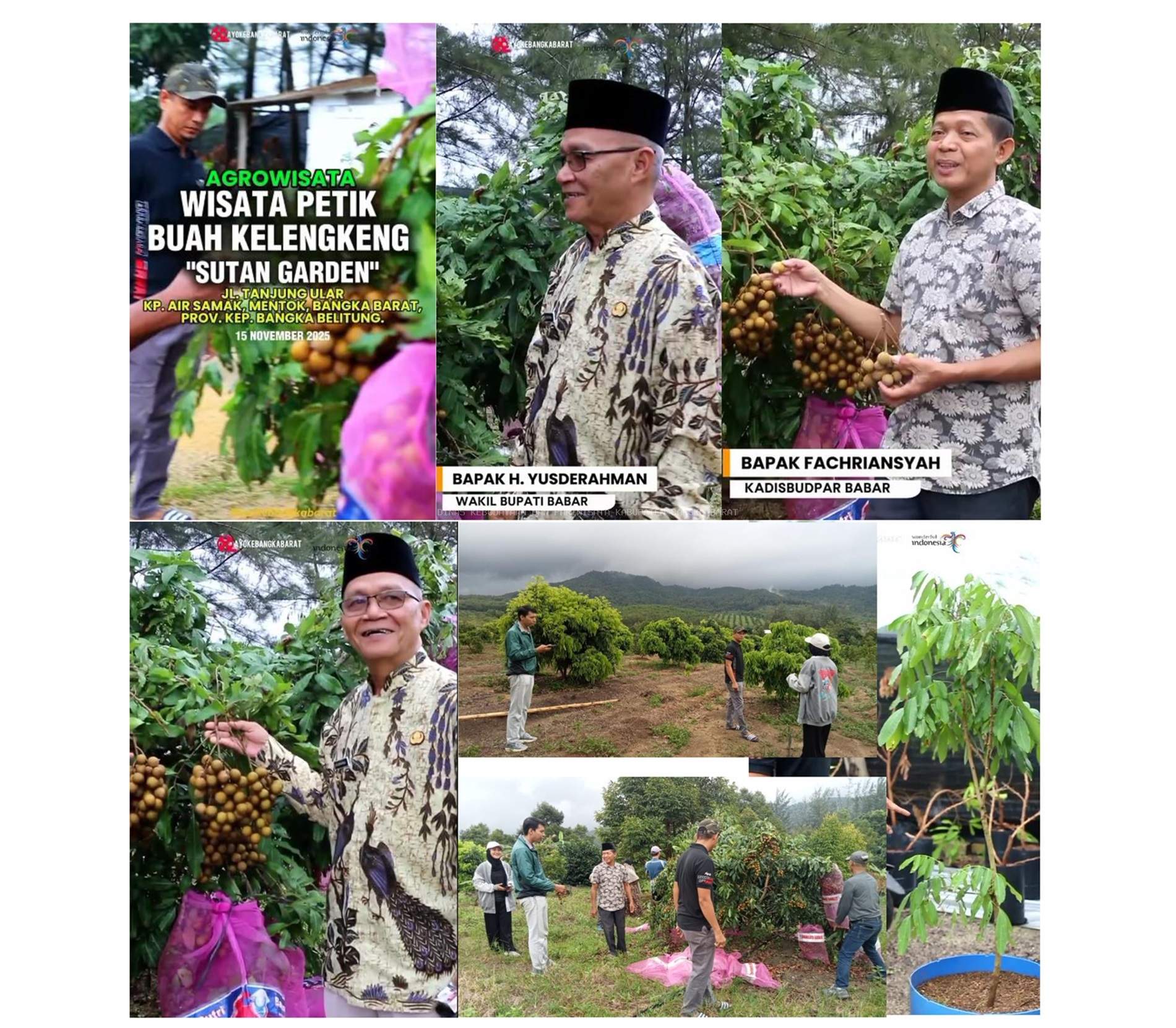 Agrowisata Wisata Petik Buah Kelengkeng di “Sutan Garden”