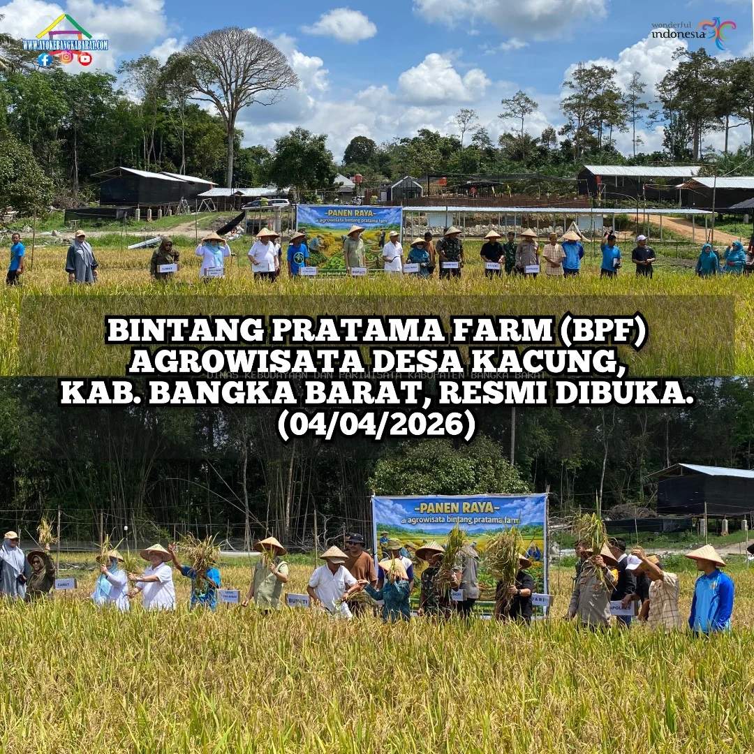 Bintang Pratama Farm (BPF) Agrowisata Desa Kacung Bangka Barat